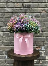Цветочная композиция из Гипсофила и Розы в шляпной коробке в Туймазы