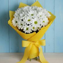 Букет цветов из:  Хризантемы #REPLACE_PRED# Туймазы