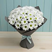 Букет цветов из:  Хризантемы #REPLACE_PRED# Туймазы