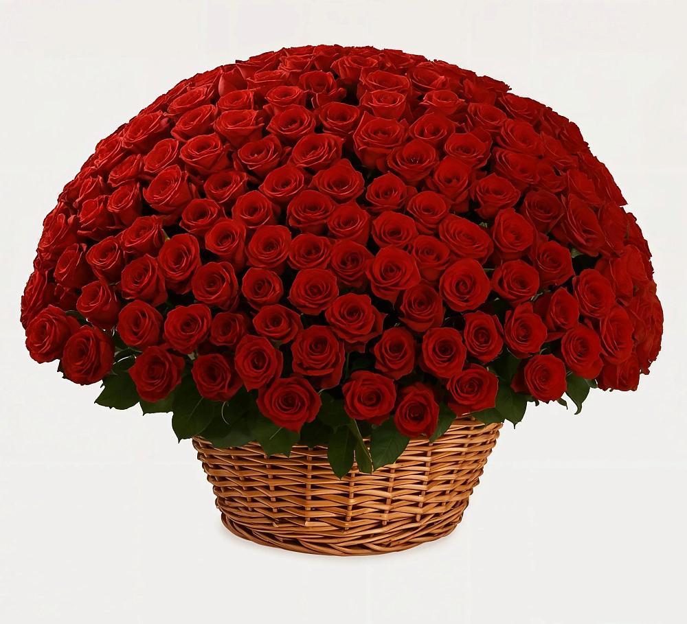 Премиум букет из: Розы в Туймазы