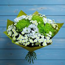 Букет цветов из:  Хризантемы в Туймазы