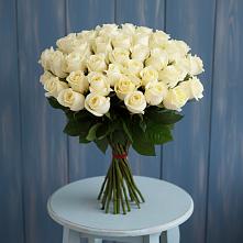 Букет 51 Белая роза Эдлесс Лав #REPLACE_PRED# Туймазы