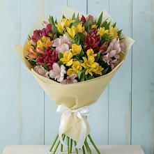 Букет цветов из:  Альстромерии в Туймазы