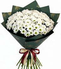 Букет цветов из:  Хризантемы #REPLACE_PRED# Туймазы