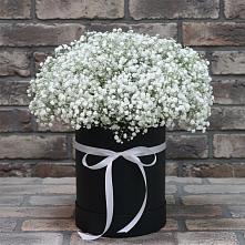 Цветочная композиция из Гипсофила в шляпной коробке в Туймазы