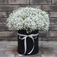 Цветочная композиция из Гипсофила в шляпной коробке в Туймазы