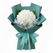 Букет цветов из:  Гортензия в Туймазы